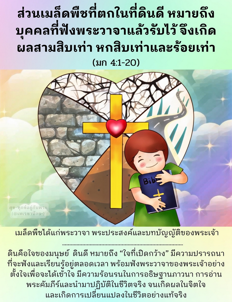 ส่วนเมล็ดพืชที่ตกในที่ดินดี หมายถึงบุคคลที่ฟังพระวาจาแล้วรับไว้ จึงเกิดผลสามสิบเท่า หกสิบเท่า และร้อยเท่า” (มก. 4:1-20)